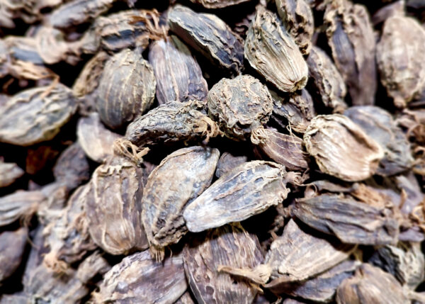 Watheen Indian Black Cardamom, Dried Flavouring Spice and Good for Cooking. Black Cardamom – 50g – ₹220